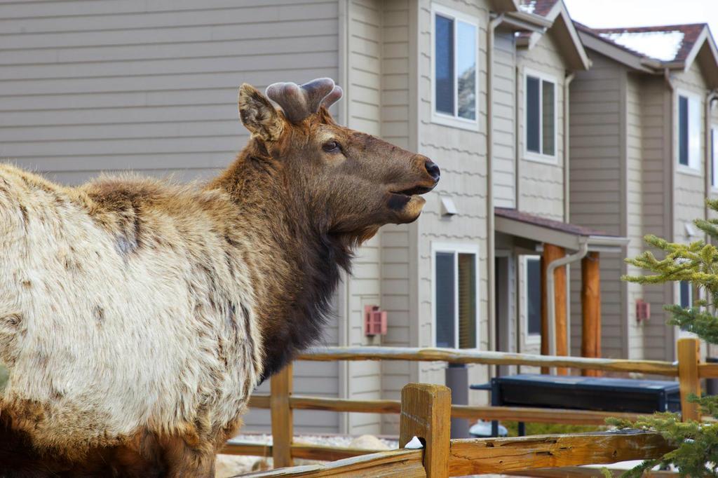 Beaver Brook On The River Hotel Estes Park Exterior foto