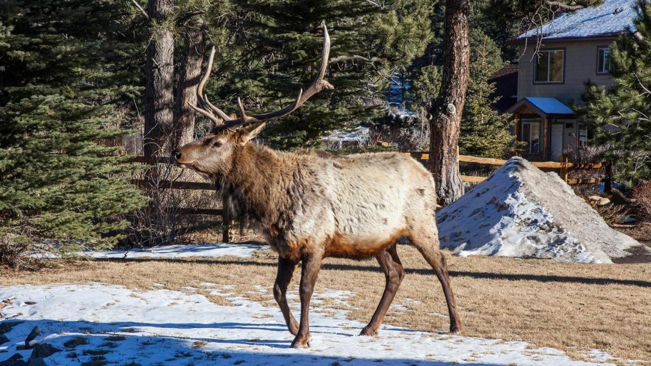 Beaver Brook On The River Hotel Estes Park Exterior foto